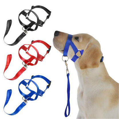 Stress-Free Walks with a Training Leash | Train Smart, Walk Happy big dogs big hugs, Ltd.- 3 colors available