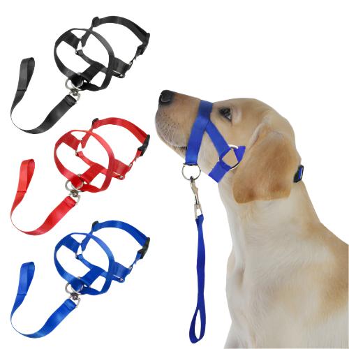 Stress-Free Walks with a Training Leash | Train Smart, Walk Happy big dogs big hugs, Ltd.- 3 colors available