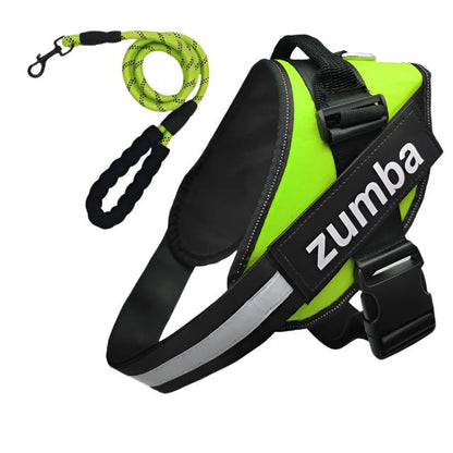 Personalized Reflective Breathable Adjustable Dog Harness and Leash Set big dogs big hugs, Ltd.