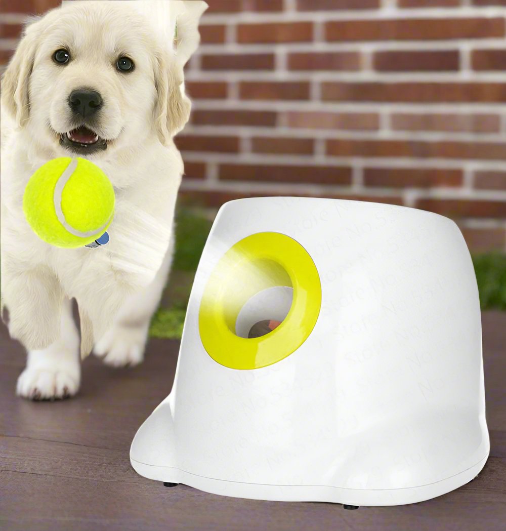 Automatic Interactive Ball Launcher: Keep Your Dog Active and Entertained for Hours - Big Dogs Big Hugs, Ltd.