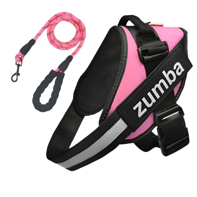 Personalized Reflective Breathable Adjustable Dog Harness and Leash Set big dogs big hugs, Ltd.