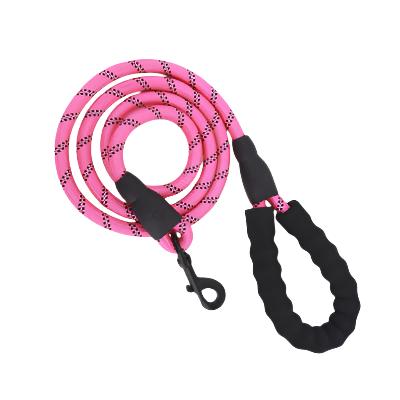 Reflective Nylon Braided Traction Dog Leash: Sturdy and Reliable big dogs big hugs, Ltd.