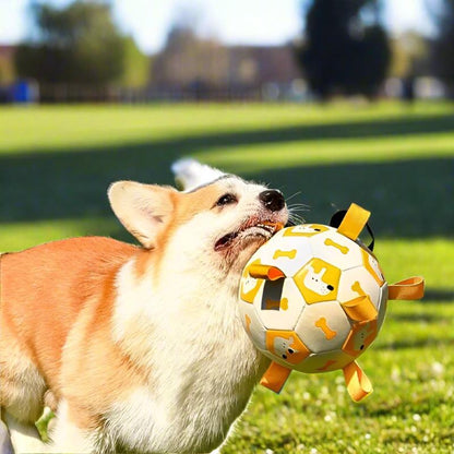 Dog Interactive Soccer Ball for Outdoor Training big dogs big hugs, Ltd.