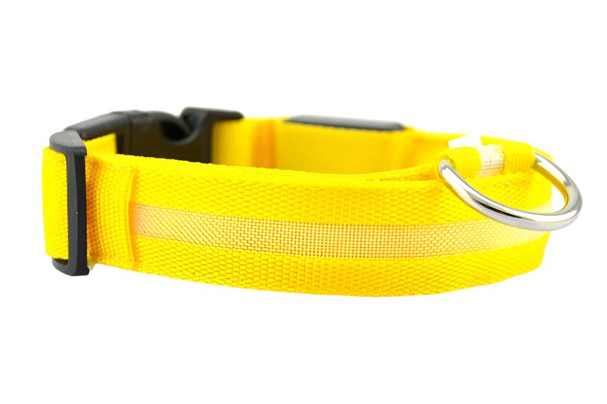 Nylon LED Pet Dog Luminous Collar - Night Safety Flashing Glow in the Dark big dogs big hugs, Ltd.