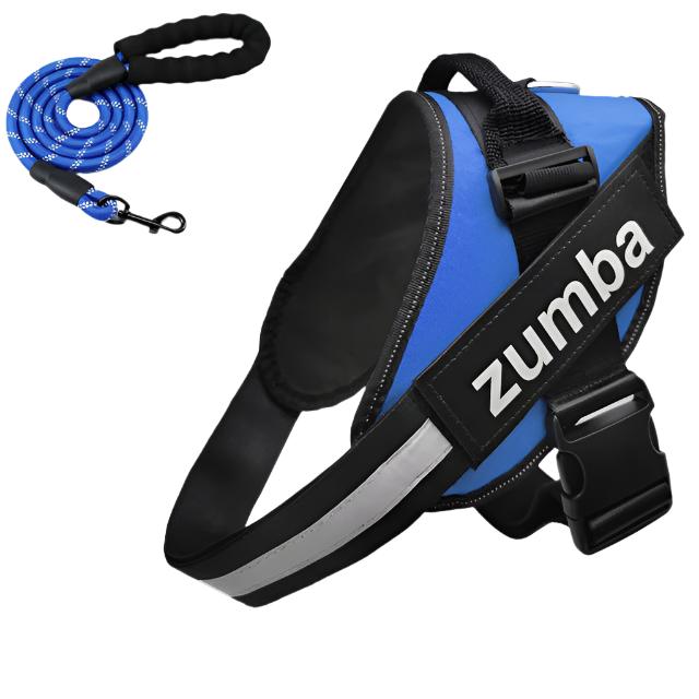 Personalized Reflective Breathable Adjustable Dog Harness and Leash Set big dogs big hugs, Ltd.