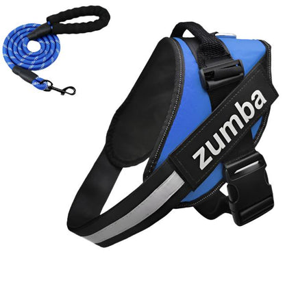 Personalized Reflective Breathable Adjustable Dog Harness and Leash Set big dogs big hugs, Ltd.