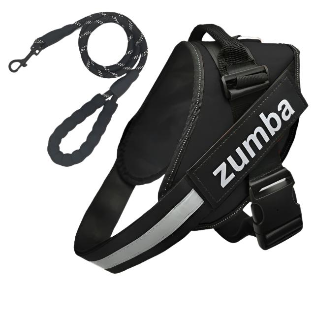 Personalized Reflective Breathable Adjustable Dog Harness and Leash Set big dogs big hugs, Ltd.