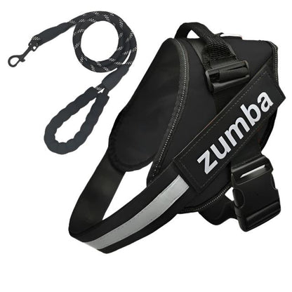 Personalized Reflective Breathable Adjustable Dog Harness and Leash Set big dogs big hugs, Ltd.