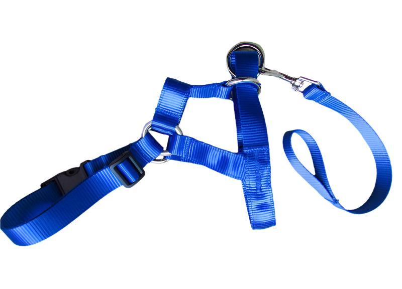 Stress-Free Walks with a Training Leash | Train Smart, Walk Happy big dogs big hugs, Ltd.-royal blue