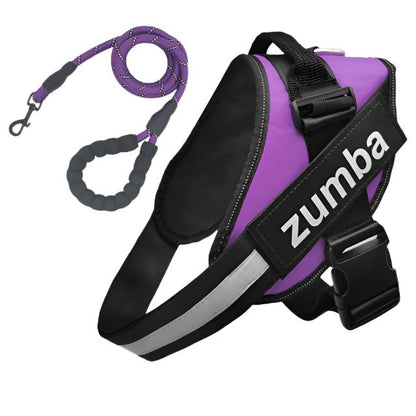 Personalized Reflective Breathable Adjustable Dog Harness and Leash Set big dogs big hugs, Ltd.