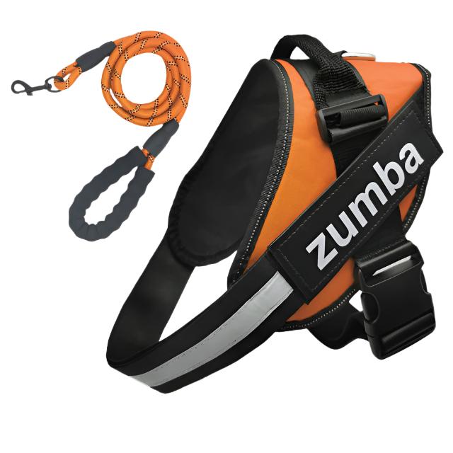 Personalized Reflective Breathable Adjustable Dog Harness and Leash Set big dogs big hugs, Ltd.