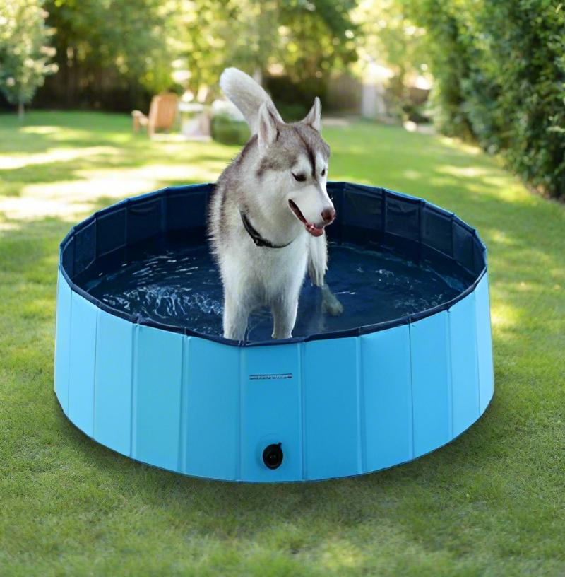 Portable and Durable Dog Swimming Pool for Backyard Fun | Foldable Pet Pool for Dogs and Kids big dogs big hugs, Ltd.