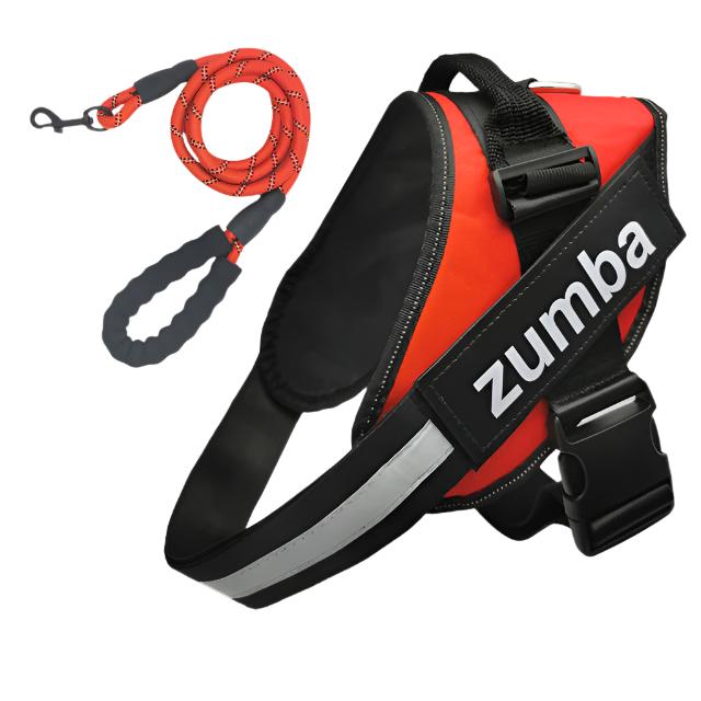 Personalized Reflective Breathable Adjustable Dog Harness and Leash Set big dogs big hugs, Ltd.