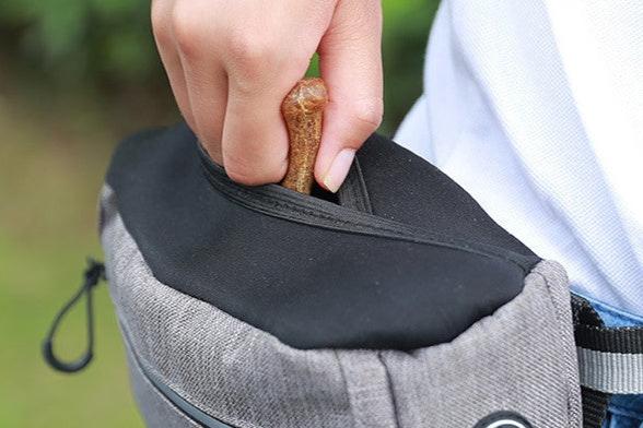 Snack Bag Pet Training Bag Training Fanny Pack big dogs big hugs, Ltd.