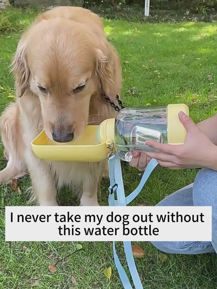 Golden retriever drinking water from a large capacity water bottle_grassy outdoors